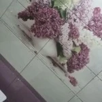 Фото №5 Штукатурка шпаклевка кафель