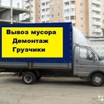 Вывоз мусора. Владимир