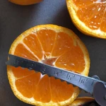 Фото №7 Мандарины из Абхазии урожай 2024