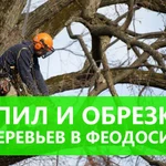 Спил и обрезка деревьев