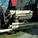 Фото №9 Срубы, зимний лес