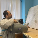 фото Обработка от насекомых, дезинсекция