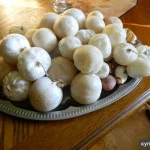 Фото №8 гриб Весёлка