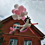 Фото №7 Воздушные шарики в г.РОССОШЬ