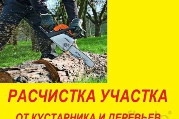 Фото Расчистка участка. Демонтаж спил деревьев Луховицы