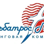 Клининг, Профессиональная уборка