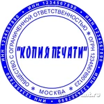 Фото №10 Изготовить копию печати штампа  частный мастер  