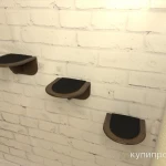 Фото №9 Настенный комплекс для кошек