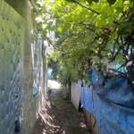 Фото №11 Дом 107 м2 + земля 2,8 сот, два отдельных дома на земле