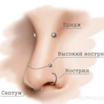 фото Пирсинг Требуются модели