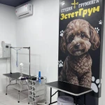 Фото №4 Продам готовый бизнес-зоосалон,груминг
