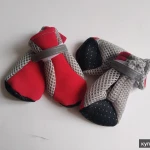 Фото №2 Обувь для собак