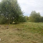 Фото №8 Покос высокой травы зарослей от 10 соток. Качество