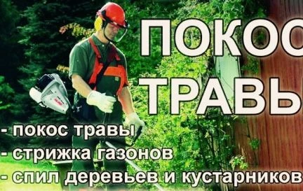 Фото Покос травы, спил деревьев и кустарников