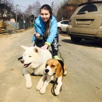 Фото №7 Дрессировка собак кинолог