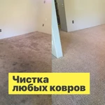 Фото №3 Аренда моющего пылесоса