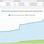 Победа на торгах по банкротству