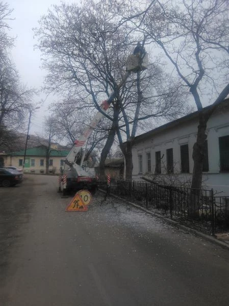 Фото Спил деревьев, расчистка участков, вывоз
