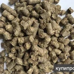 фото Продам сухую пивную дробину