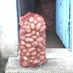 Фото №2 продам картофель