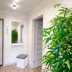 Фото №4 1-комнатные апартаменты в центре города