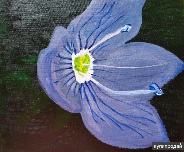 Фото Картины акрилом на холсте