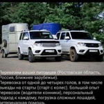 Конеперевозки