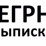 Выписка из егрн