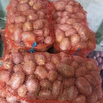 Фото №2 Картофель