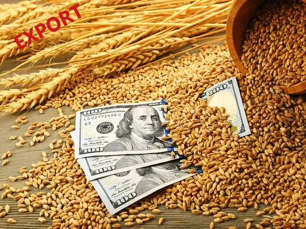 Фото Поможем организовать экспорт зерновых