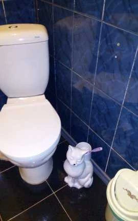 Фото Санузлы под ключ. Сантехнические услуги