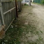 Фото №6 Покос травы,обработки от камаров
