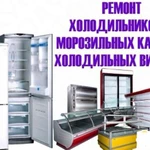  Ремонт Холодильников Морозильных камер Витрины Лари 