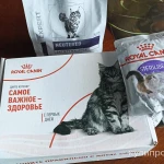 фото корм для кошек и для котят