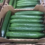Фото №2 Тепличный Огурец Гладкий Мева, Демарраж Оптом