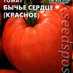 Фото №10 Рассада