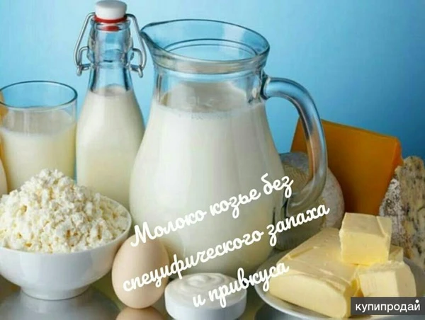 Фото Продаётся козье молоко.