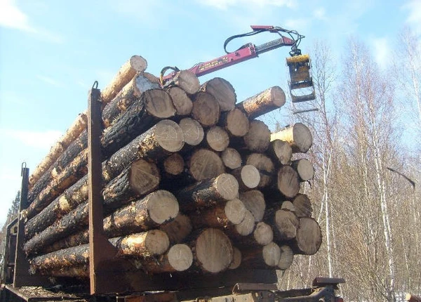 Фото Продам лес кругляк по г. Н.Новгороду и области