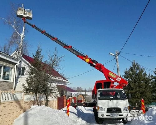 Фото Спил деревьев в Малоярославце 