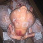 Фото №3 Маточник 3-3,5кг+