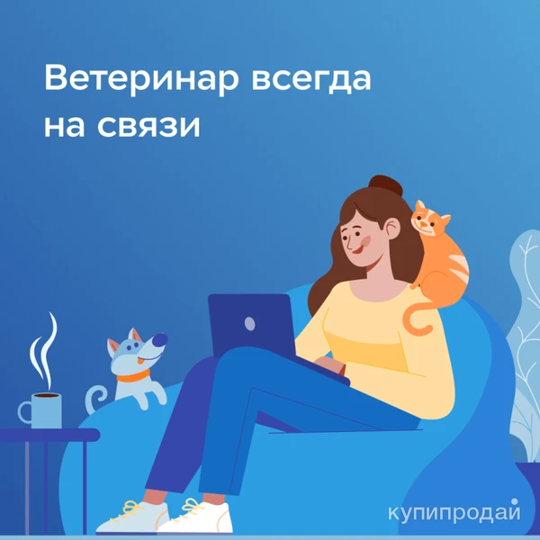 Фото Все виды страхования