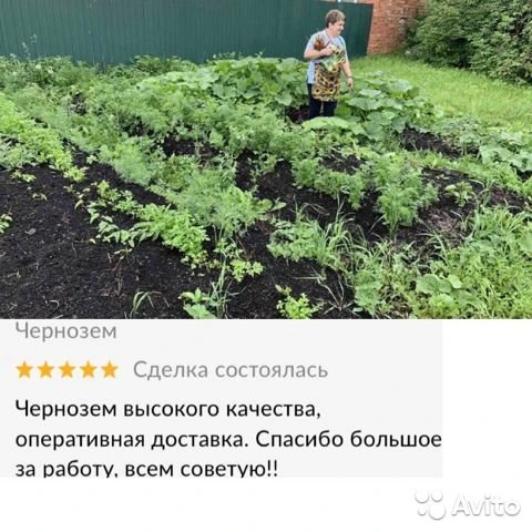 Фото ЧЕРНОЗЕМ 