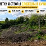 Фото №4 300 м³ древесины и веток бесплатно. Самовывоз