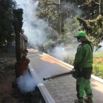 Фото №2 Расчистка участков, санитарная обработка