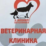 Ветеринарная клиника- 9жизней