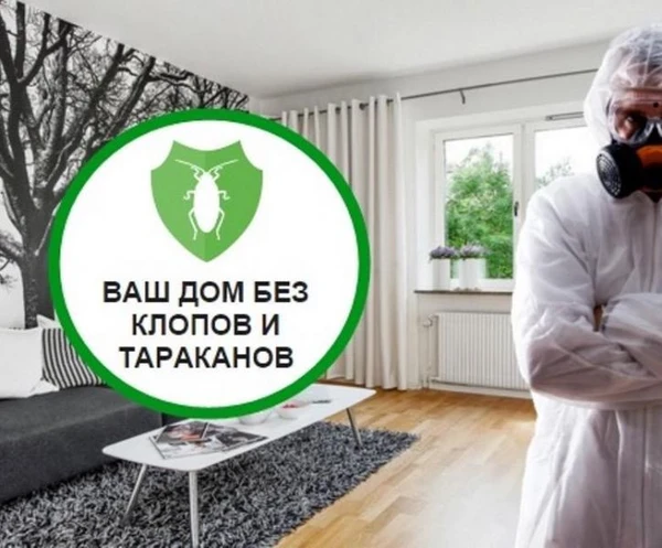 Фото Обработка от клопов