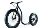 фото Самокат Kickbike Fat MAX