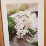 Фото №4 Рамки 2 шт.