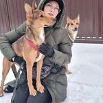 Фото №5 Молодые абсолютно домашние собачки Майра и Онда в добрые руки