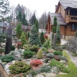 Фото №7 Спилить дерево Голицыно Обрезка деревьев